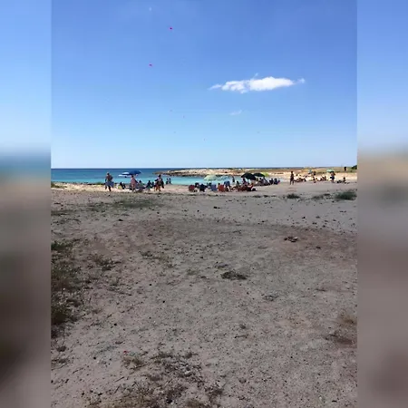 Vasagè